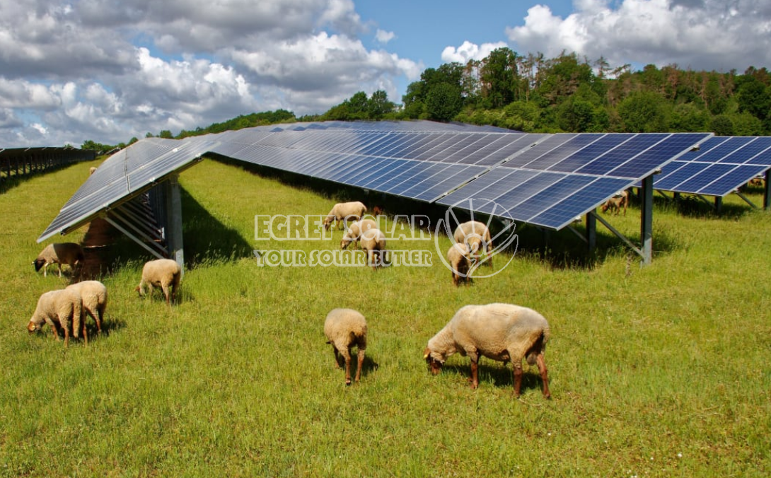 Стратегическото сътрудничество между Egret Solar New Energy Technology и Smart Concept Energy